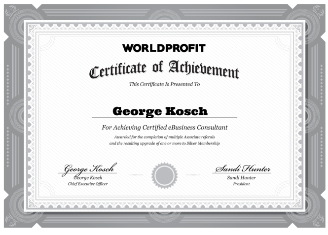 Certified eBusiness Consultant George Kosch