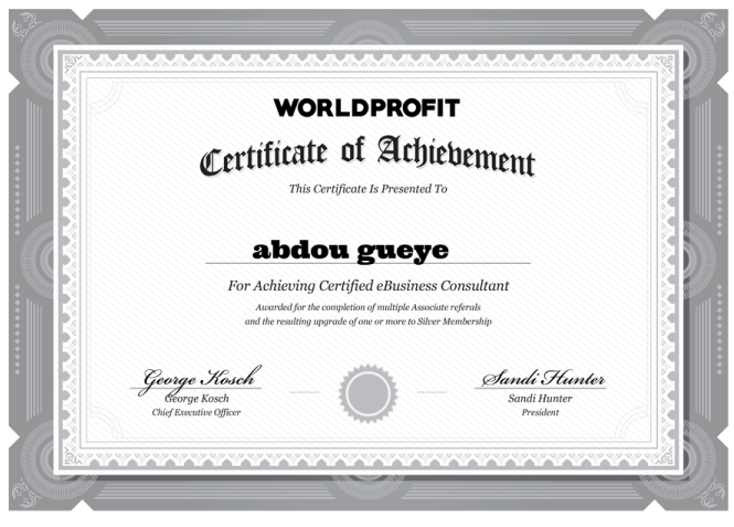 Certified eBusiness Consultant abdou gueye