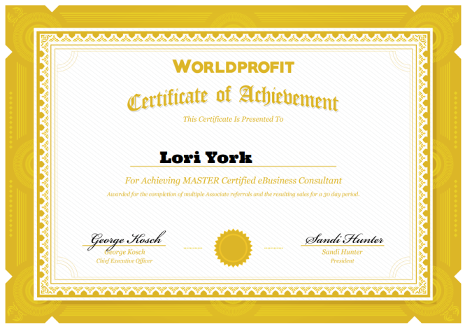 Master Certified eBusiness Consultant Lori York